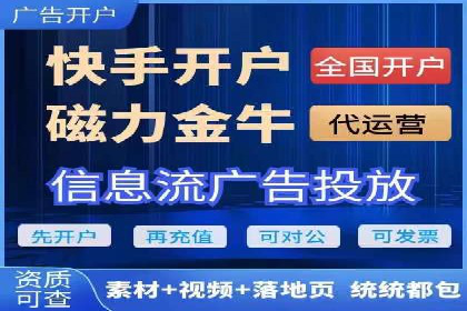某品牌SEM广告的蜕变——代运营公司的力量